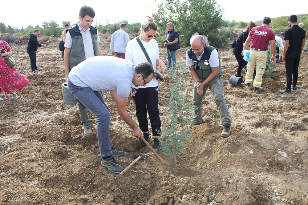 11.11.2023 DATÇA Milli AĞAÇLANDIRMA GÜNÜ 1200 FİDAN