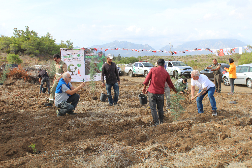 11.11.2023 DATÇA Milli AĞAÇLANDIRMA GÜNÜ 1200 FİDAN