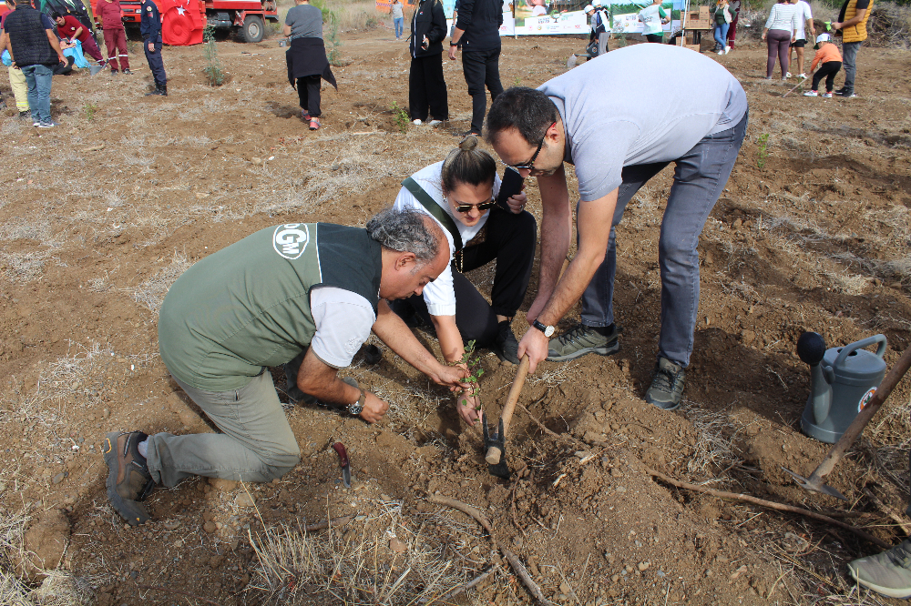 11.11.2023 DATÇA Milli AĞAÇLANDIRMA GÜNÜ 1200 FİDAN