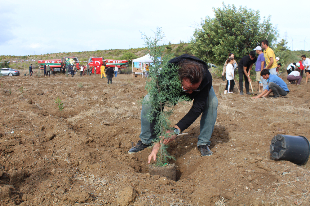 11.11.2023 DATÇA Milli AĞAÇLANDIRMA GÜNÜ 1200 FİDAN