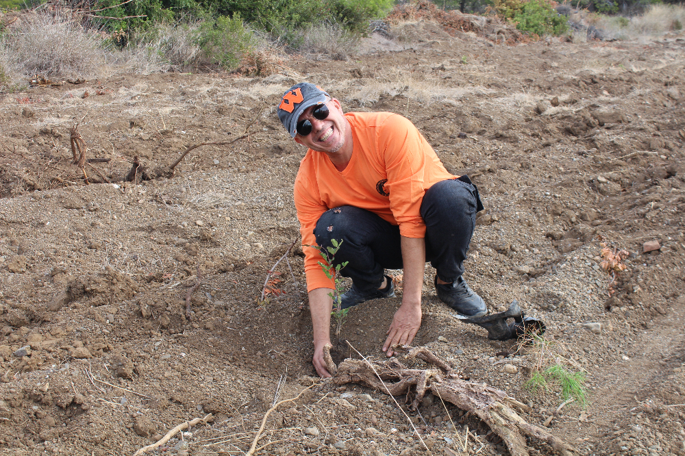 11.11.2023 DATÇA Milli AĞAÇLANDIRMA GÜNÜ 1200 FİDAN