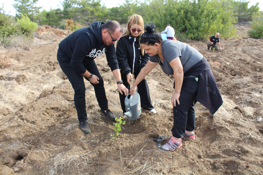 11.11.2023 DATÇA Milli AĞAÇLANDIRMA GÜNÜ 1200 FİDAN