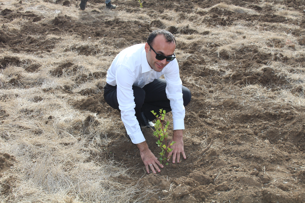 11.11.2023 DATÇA Milli AĞAÇLANDIRMA GÜNÜ 1200 FİDAN