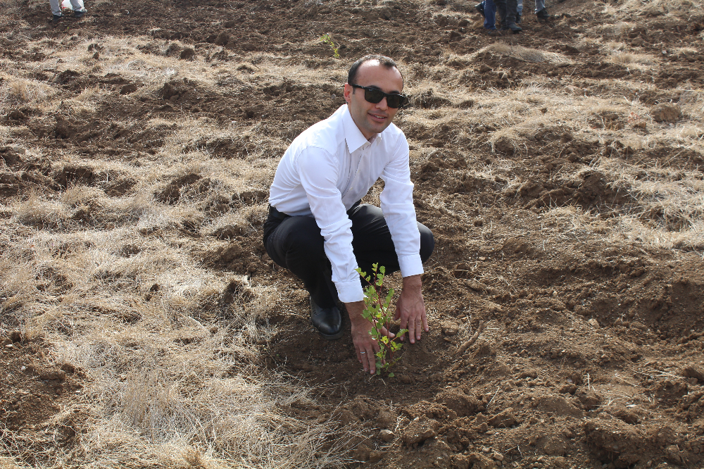 11.11.2023 DATÇA Milli AĞAÇLANDIRMA GÜNÜ 1200 FİDAN