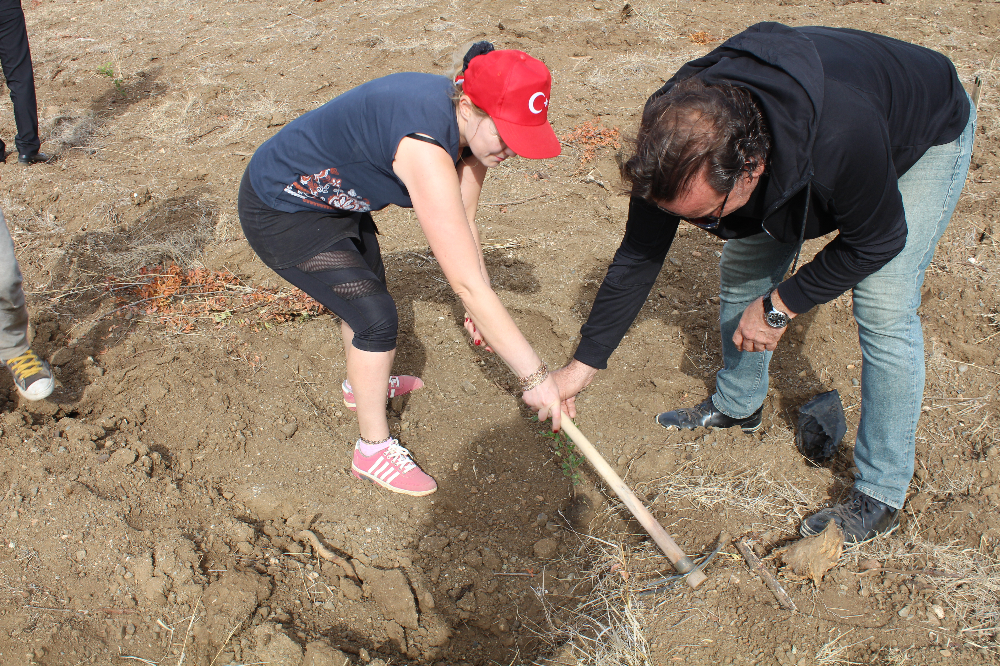 11.11.2023 DATÇA Milli AĞAÇLANDIRMA GÜNÜ 1200 FİDAN