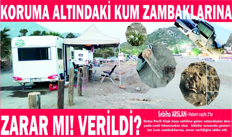 KO­RU­MA AL­TIN­DAKİ KUM ZAM­BAK­LA­RI­NA ZARAR MI! VERİLDİ?