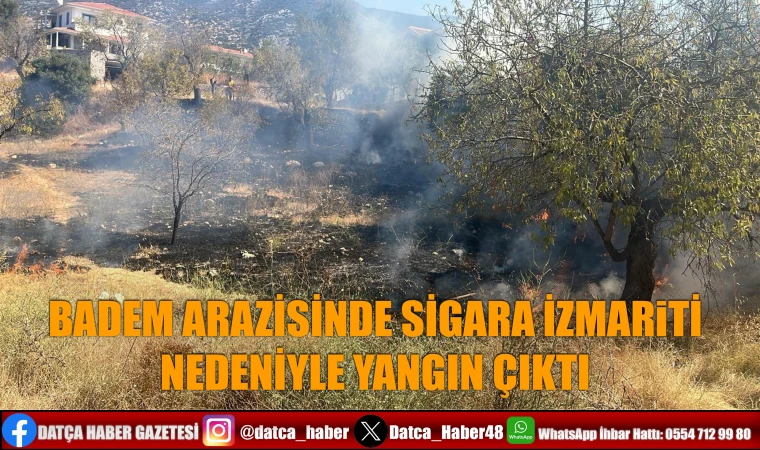 BADEM ARAZİSİNDE SİGARA İZMARİTİ NEDENİYLE YANGIN ÇIKTI