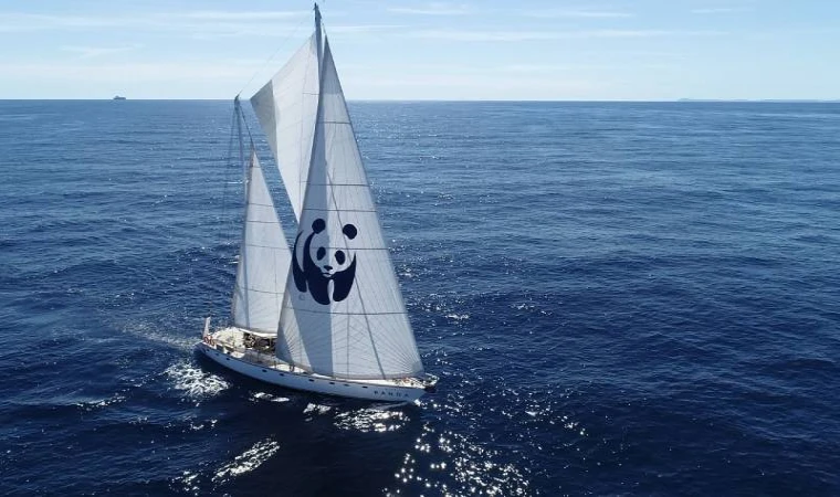 Blue Panda Yelkenlisi, Akdeniz Çalışmaları İçin Datça’da