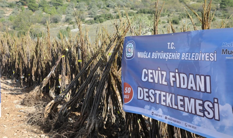 Büyükşehirden Her Kapıda Bir Fidan Projesi