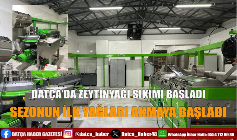 DATÇA’DA ZEYTİNYAĞI SIKIMI BAŞLADI