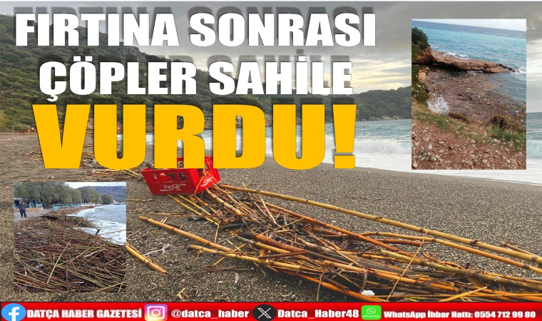 FIRTINA SONRASI ÇÖPLER SAHİLE VURDU!