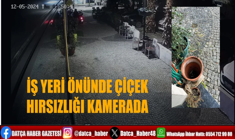 İŞ YERİ ÖNÜNDE ÇİÇEK HIRSIZLIĞI KAMERADA