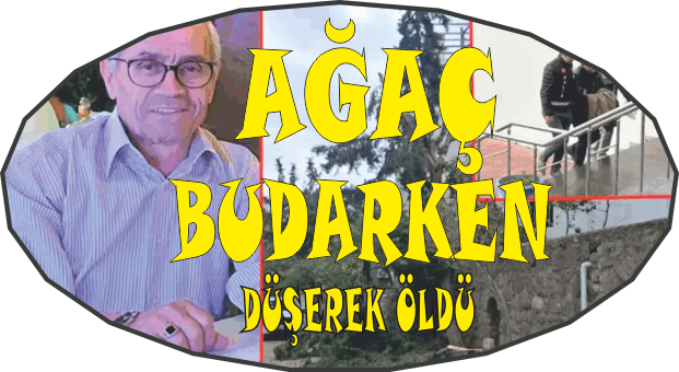 AĞAÇ BUDARKEN DÜŞEN ADAM HAYATINI KAYBETTİ