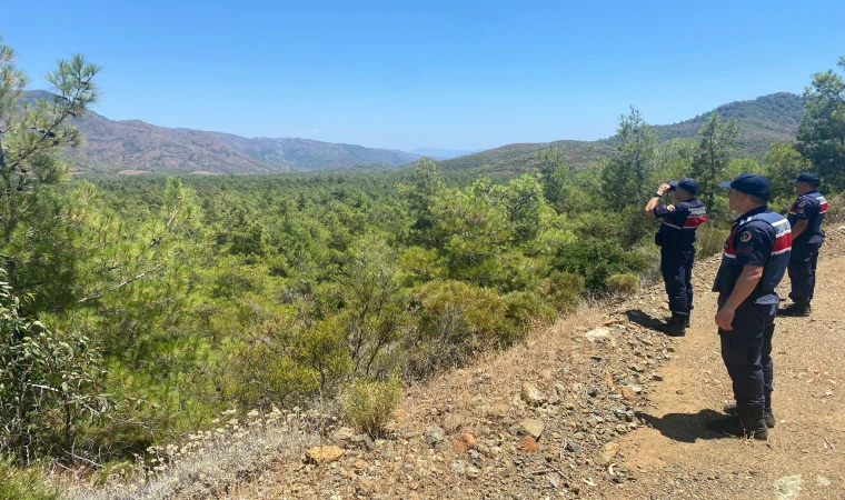 DATÇA'DA ORMAN ARAZİLERİNDE SIKI DENETİM 3 KİŞİYE İDARİ İŞLEM UYGULANDI