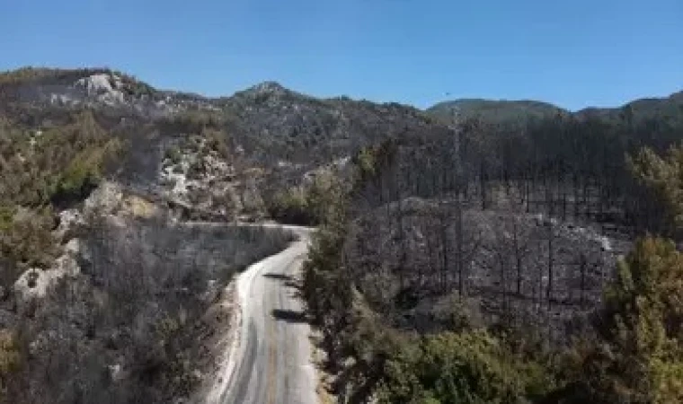 KÖYCEĞİZ'DE 63 SAATLİK YANGIN KABUSU: 4 MAHALLE, 3 BİN HEKTAR, BİRLİKTE MÜCADELE