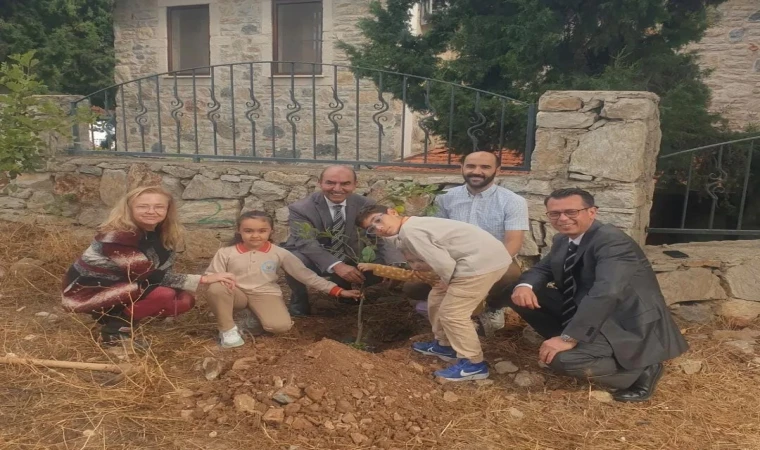 BİR FİDAN, BİR UMUT: GELECEĞE NEFES OLDULAR