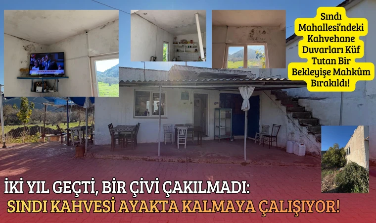 İKİ YIL GEÇTİ, BİR ÇİVİ ÇAKILMADI: SINDI KAHVESİ AYAKTA KALMAYA ÇALIŞIYOR!