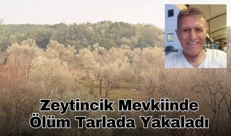 Zeytincik Mevkiinde Ölüm Tarlada Yakaladı