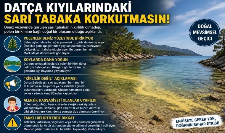 DATÇA KIYILARINDAKİ SARI TABAKA KORKUTMASIN!