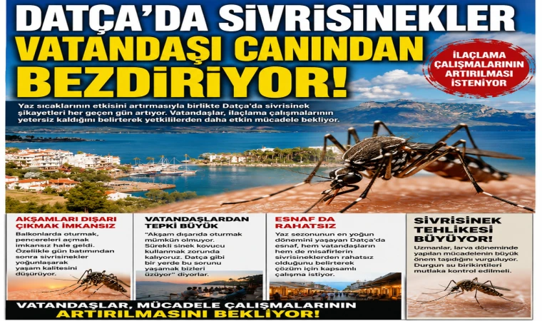 Datça'da Sivrisinekler Vatandaşı Canından Bezdiriyor Vatandaşlar İlaçlama Çalışmalarının Artırılmasını İstiyor