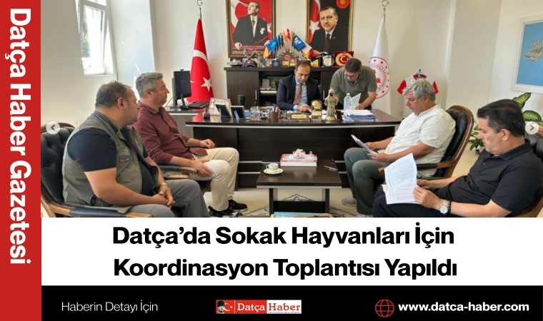 Datça’da Sokak Hayvanları İçin Koordinasyon Toplantısı Yapıldı
