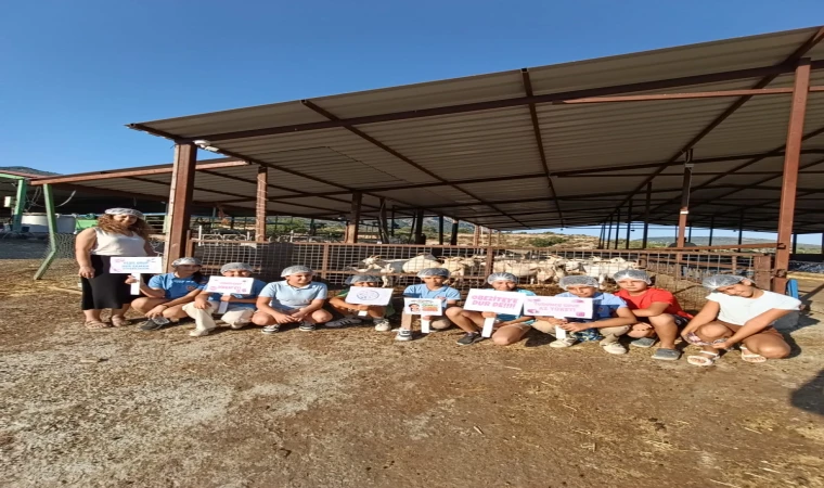 Öğrenciler Çiftlikte Sağlıklı Beslenmeyi ve Doğal Üretimi Yerinde Öğrendi