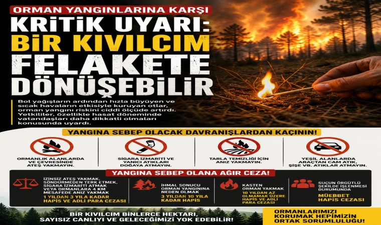 Orman Yangınlarına Karşı Kritik Uyarı: Bir Kıvılcım Felakete Dönüşebilir