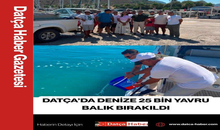 DATÇA’DA DENİZE 25 BİN YAVRU BALIK BIRAKILDI