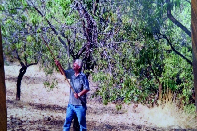 Datça Turizm Müdürü'nden Anılar (12)