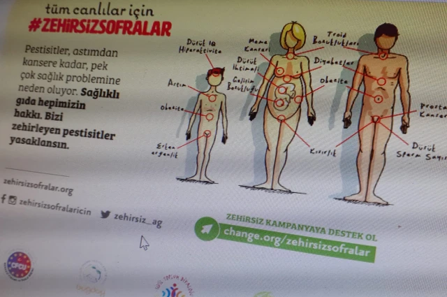 PESTİSİT(İLAÇ KALINTISI) VE KANSER…