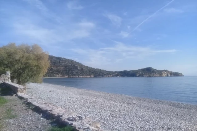 BİR GENÇLİK ANISI (1)