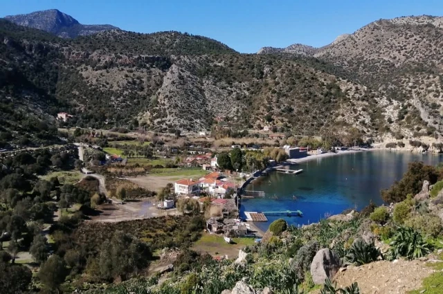 KARGI KOYUNUN KARGILARI. (2)