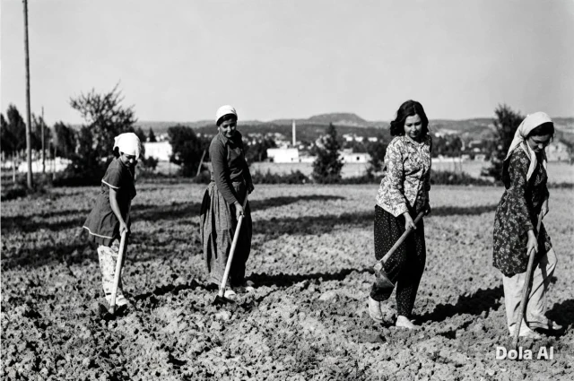 TURİSTİK HİKAYELERİM…(1) Kadirli’de 1972 yılında, İki liseli genç turistin çadır tatili…