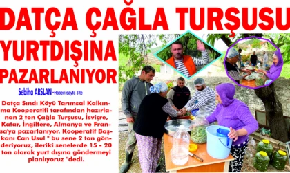 DATÇA ÇAĞLA TUR­ŞU­SU YURT­DI­ŞI­NA PA­ZAR­LA­NI­YOR