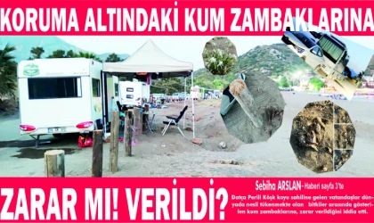 KO­RU­MA AL­TIN­DAKİ KUM ZAM­BAK­LA­RI­NA ZARAR MI! VERİLDİ?