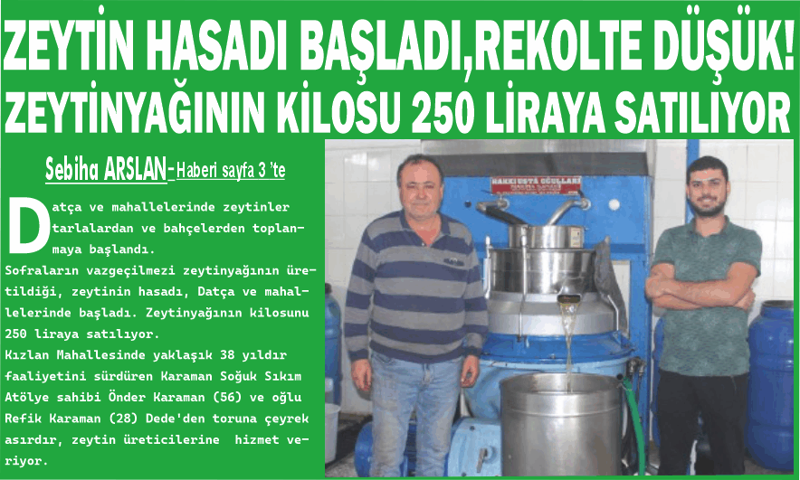 ZEYTİN HA­SA­DI BAŞ­LA­DI,RE­KOL­TE DÜŞÜK!ZEYTİNYA­ĞI­NIN KİLO­SU­ 250 LİRAYA SA­TI­LIYOR