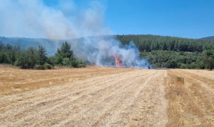 Anız Tarlasındaki Yangın, Ormanlık Alana Sıçramadan söndürüldü.