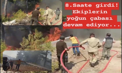 Bodrum Pınarbelen yangını 8'ci saate girdi!