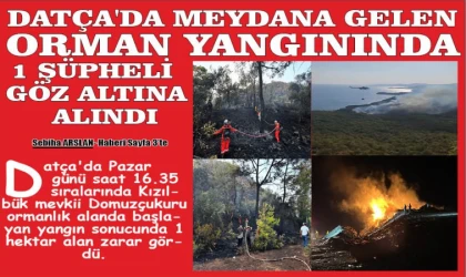 DATÇA'DA MEYDANA GELEN ORMAN YANGININDA 1 ŞÜPHELİ GÖZ ALTINA ALINDI