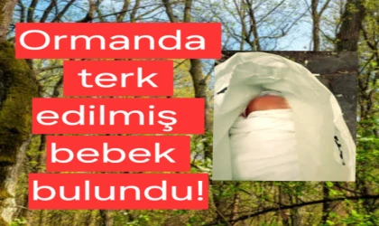 Kundaktaki Yenidoğan Bebek Ormanda Çalılar Arasında Bulundu!