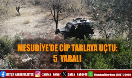 MESUDİYE’DE CİP TARLAYA UÇTU: 5 YARALI