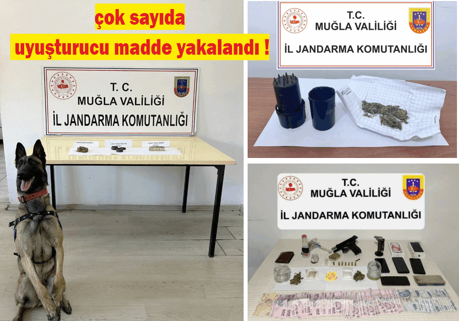 "Etil" ve "Arya" ile uyuşturucu operasyonu