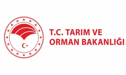 GIDALARDA TAKLİT VE TAĞŞİŞ (Karıştırma, Saflığını Giderme)