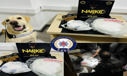 NARKOTİK KÖPEĞİ ÇİKO 6 KİLO UYUŞTURUCU MADDE ELE GEÇİRDİ