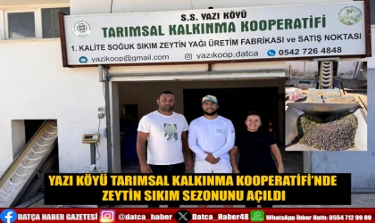 YAZI KÖYÜ TARIMSAL KALKINMA KOOPERATİFİ’NDE ZEYTİN SIKIM SEZONUNU AÇILDI