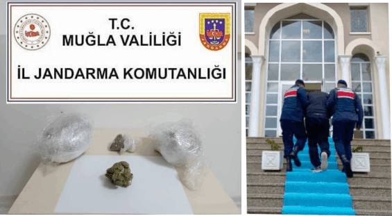 Jandarma’ dan Uyuşturucu Operasyonunda; 1 kişi  tutuklandı