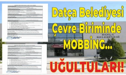 DATÇA BELEDİYESİ HARİTA TEKNİKERİ İLE  VETERİNER HEKİM ALIMI YAPACAK!