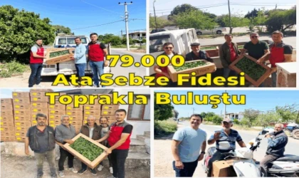 DATÇA’DA ATA SEBZE FİDELERİ ÜRETİCİLERLE BULUŞTU