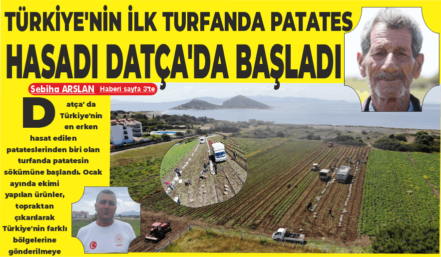 TÜRKİYE’NİN İLK TURFANDA PATATES HASADI DATÇA'DA BAŞLADI