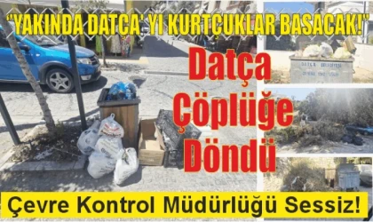 DATÇA ÇÖPLÜĞE DÖNDÜ: BELEDİYE NEREDE, ÇEVRE KONTROL MÜDÜRLÜĞÜ NE YAPIYOR?